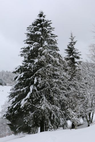 Skilift Köpfle, Muggenbrunn (Gastfoto von Stefan&Jens), 2014

