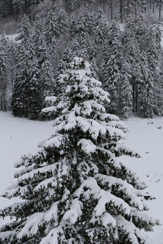 Skilift Köpfle, Muggenbrunn (Gastfoto von Stefan&Jens), 2014
