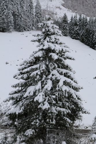 Skilift Köpfle, Muggenbrunn (Gastfoto von Stefan&Jens), 2014

