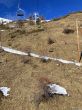 20240131-foux-allos-pra-loup-9107.jpg