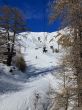 20240131-foux-allos-pra-loup-9111.jpg