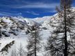 Dateiname=20240131-foux-allos-pra-loup-9320.jpg
Dateigröße=1010KB
Abmessungen: 1600x1200
hinzugefügt am: 01. Februar 2024 20240131-foux-allos-pra-loup-9320.jpg