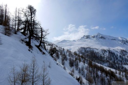 20180221-b-auron-121.jpg
