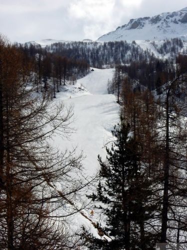 20180221-b-auron-226.jpg