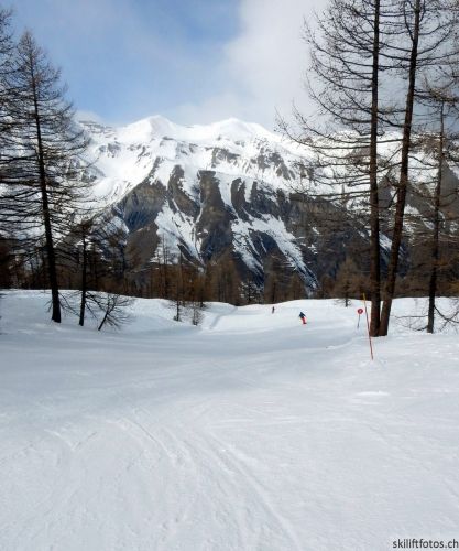 20180221-b-auron-229.jpg