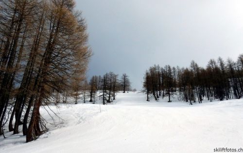20180221-b-auron-230.jpg