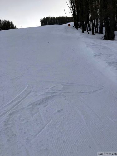20180221-b-auron-306.jpg