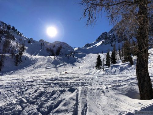 20180220-isola2000-078.jpg