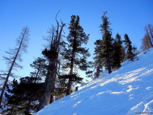 20180220-isola2000-082.jpg