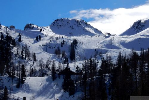 20180220-isola2000-211.jpg