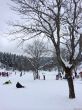 20140302-c-villard-correncon-9237.jpg