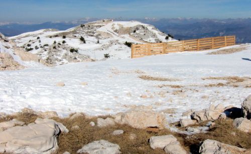 20120227-greolieres-0053.jpg