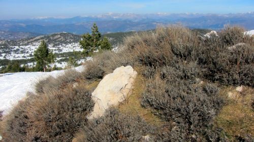 20120227-greolieres-0064.jpg