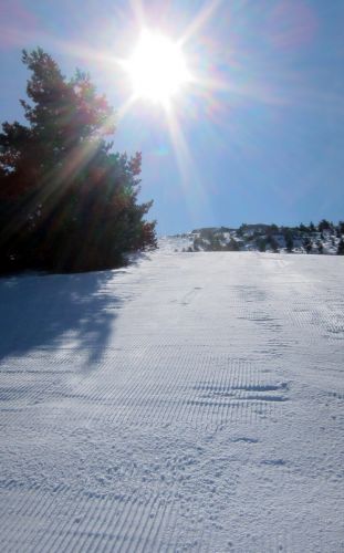 20120227-greolieres-0070.jpg