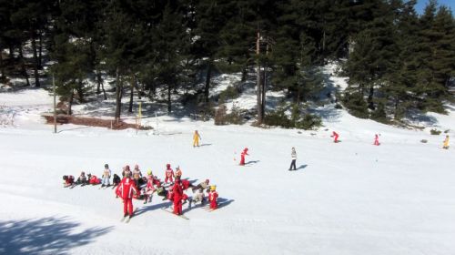 20120227-greolieres-0074.jpg