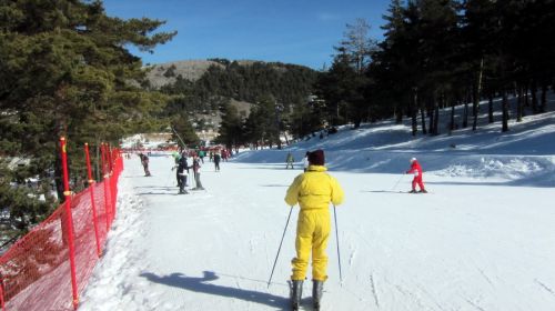 20120227-greolieres-0076.jpg