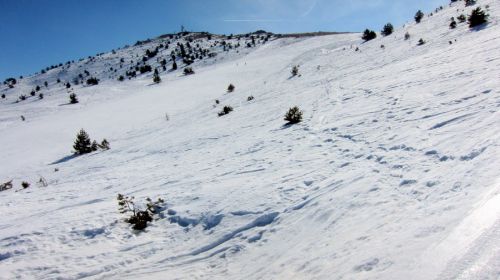 20120227-greolieres-0119.jpg