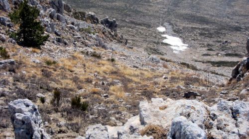 20120227-greolieres-0130.jpg