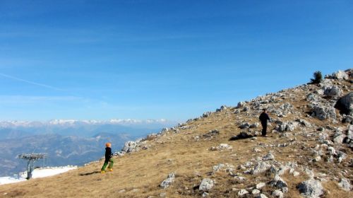 20120227-greolieres-0140.jpg