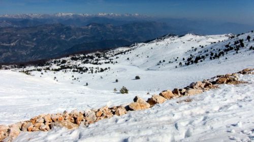 20120227-greolieres-0141.jpg