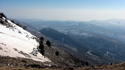 20120227-greolieres-0147.jpg