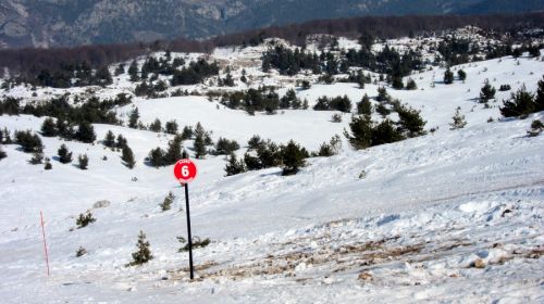20120227-greolieres-0153.jpg