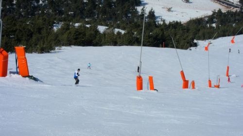20120227-greolieres-0170.jpg