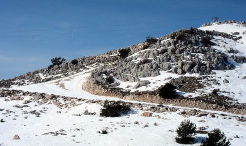20120227-greolieres-0177.jpg