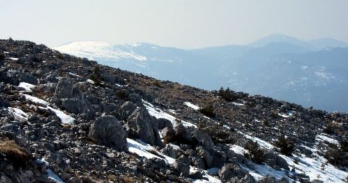 20120227-greolieres-0192.jpg