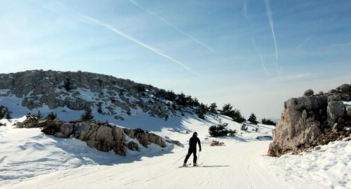 20120227-greolieres-0194.jpg