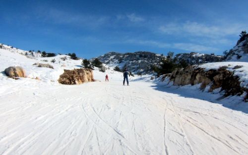20120227-greolieres-0196.jpg