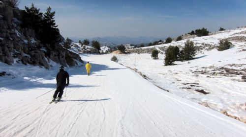 20120227-greolieres-0198.jpg