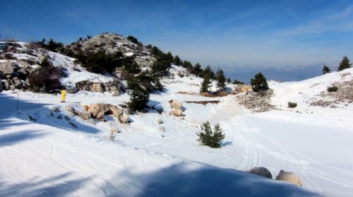 20120227-greolieres-0200.jpg