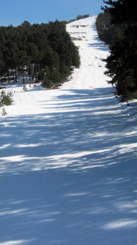 20120227-greolieres-0205.jpg