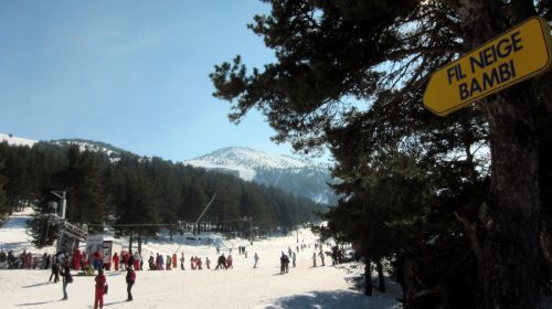 20120227-greolieres-0212.jpg