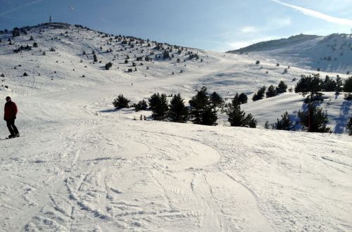 20120227-greolieres-0229.jpg