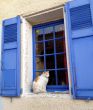 20120227-greolieres-0240.jpg
