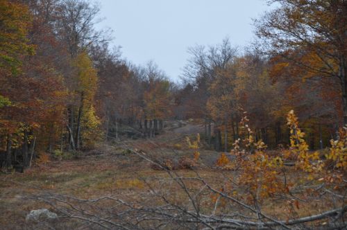15. Oktober 2013
