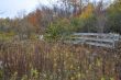 20131015-c-hogback-0147.jpg