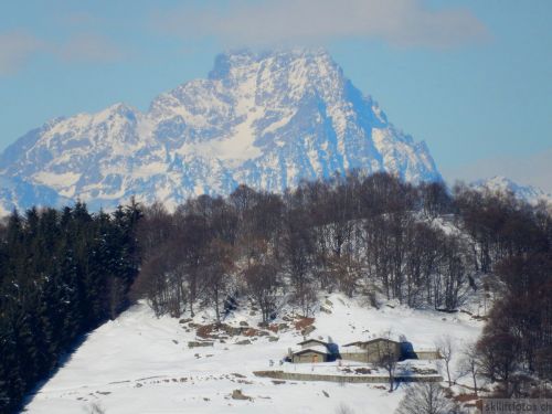 20180212-c-mondoleski-351.jpg