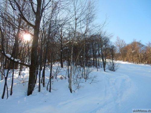 20180212-c-mondoleski-360.jpg