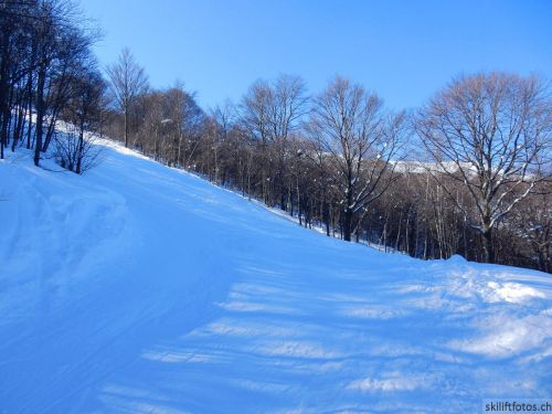 20180212-c-mondoleski-361.jpg
