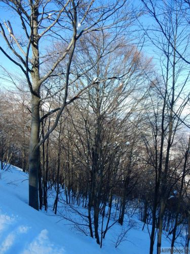 20180212-c-mondoleski-362.jpg
