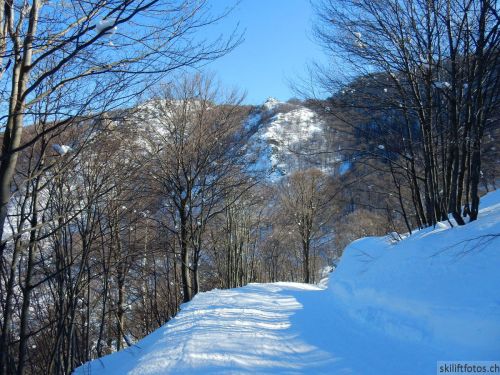 20180212-c-mondoleski-363.jpg