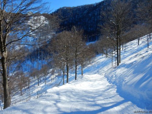 20180212-c-mondoleski-364.jpg