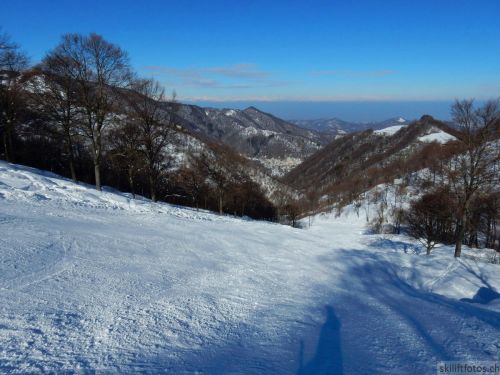 20180212-c-mondoleski-372.jpg