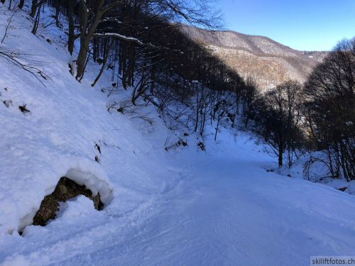 20180212-c-mondoleski-386.jpg