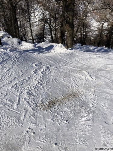 20180212-c-mondoleski-394.jpg