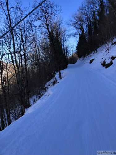 20180212-c-mondoleski-398.jpg