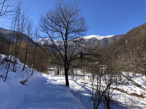 20180212-c-mondoleski-402.jpg